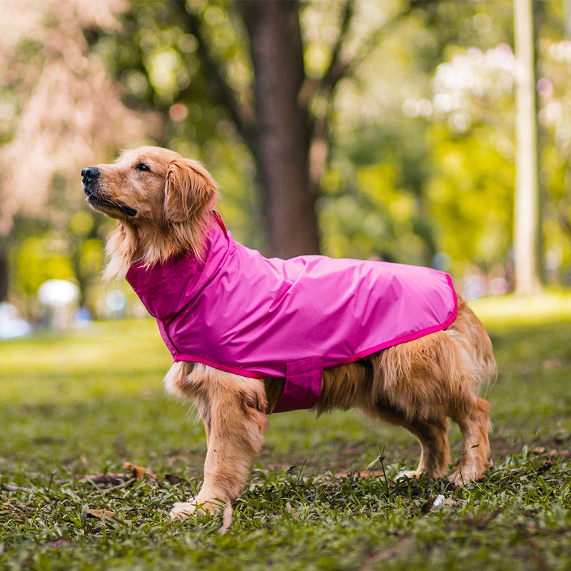 Capa de chuva